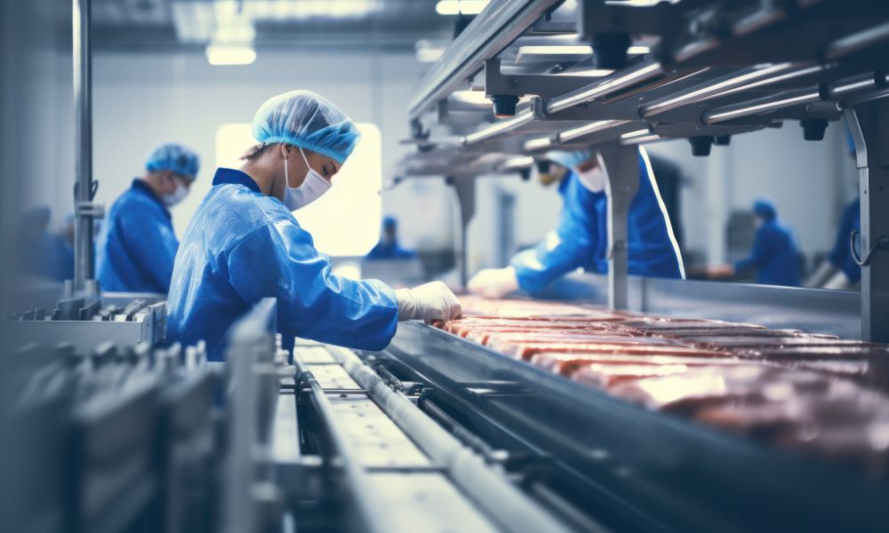 The Most Common Types of Conveyors Used in the Food Industry