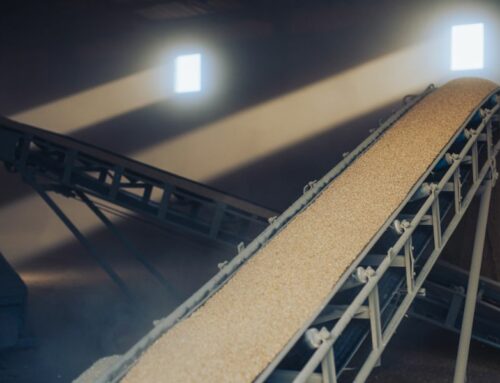4 Uses for Belt Conveyors in the Agriculture Industry