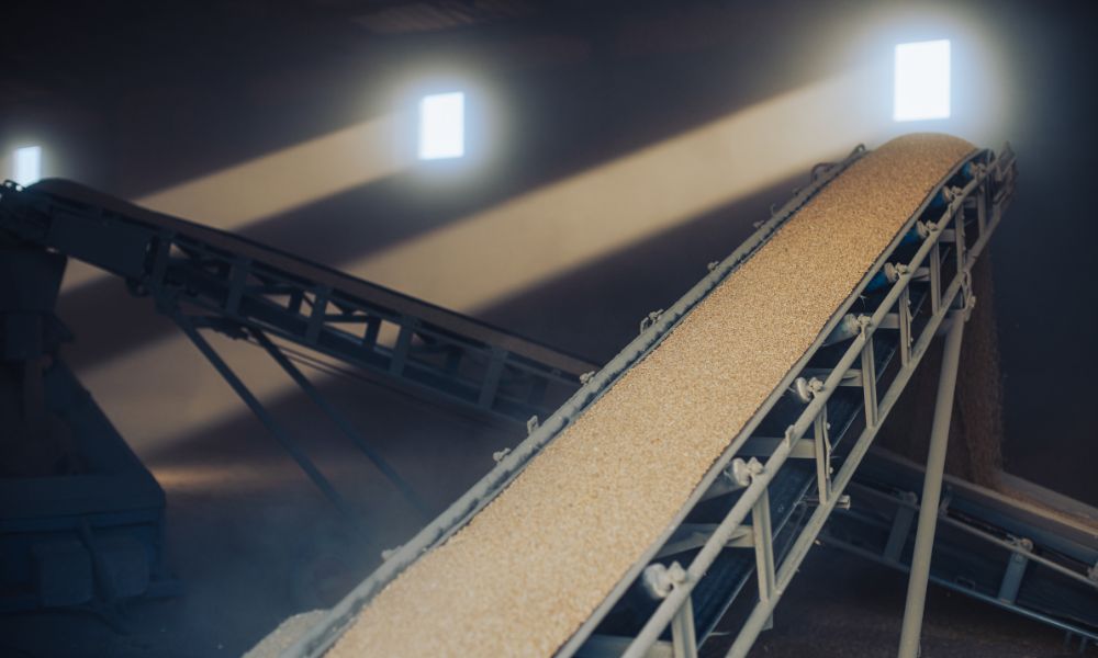 4 Uses for Belt Conveyors in the Agriculture Industry