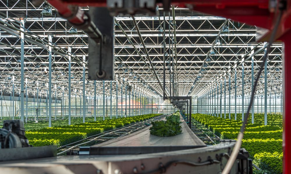 How Plant Nurseries Benefit From Using Conveyors