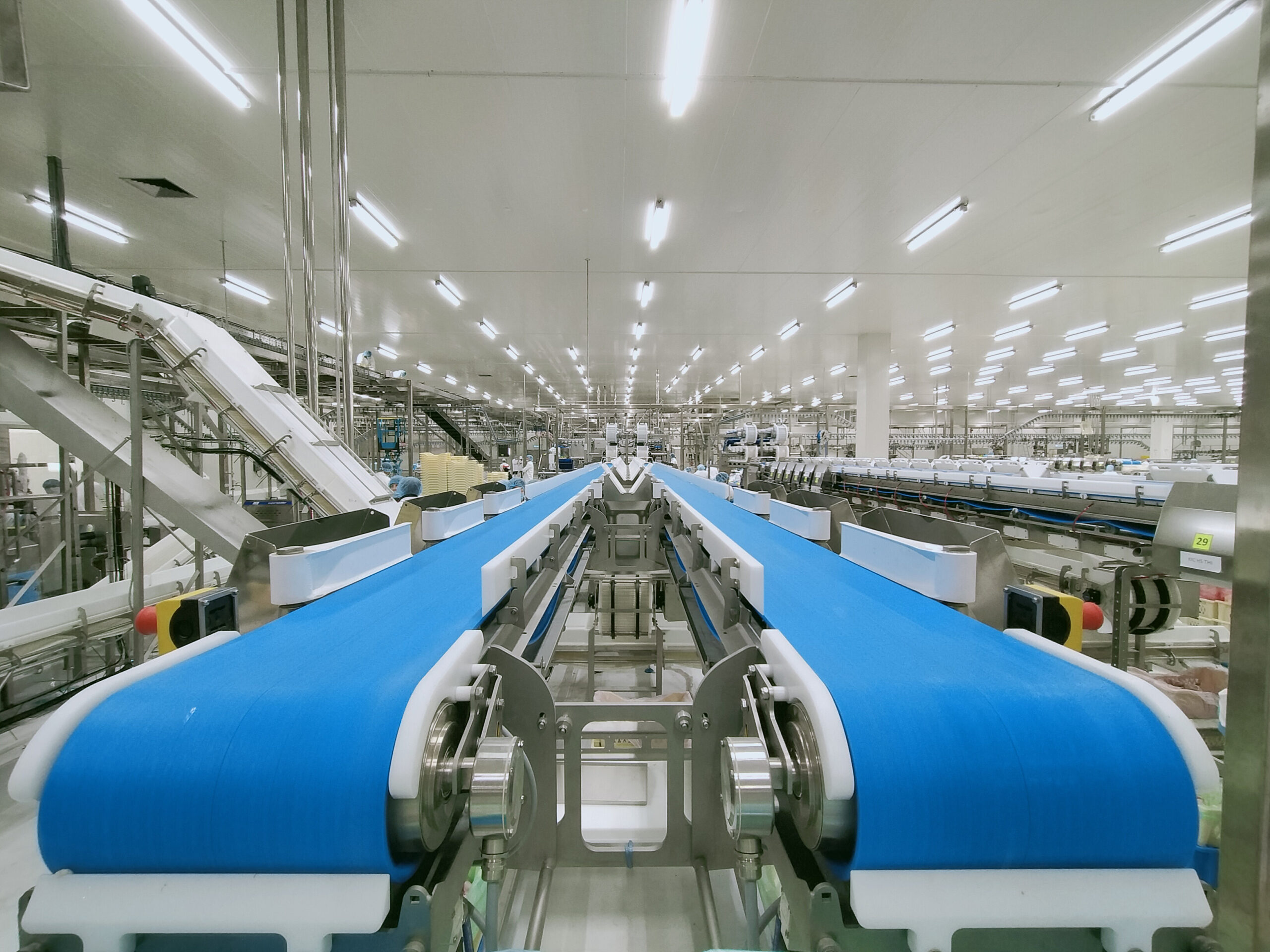 Two empty conveyor systems sit side by side in a factory. Both have solid blue belts and stretch for a long distance.