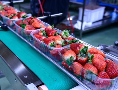 Advantages of Horizontal Conveyors for Material Handling