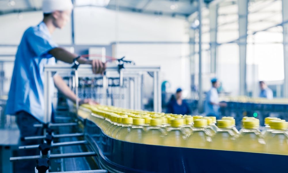 The Advantages of Conveyors in the Food Processing Industry